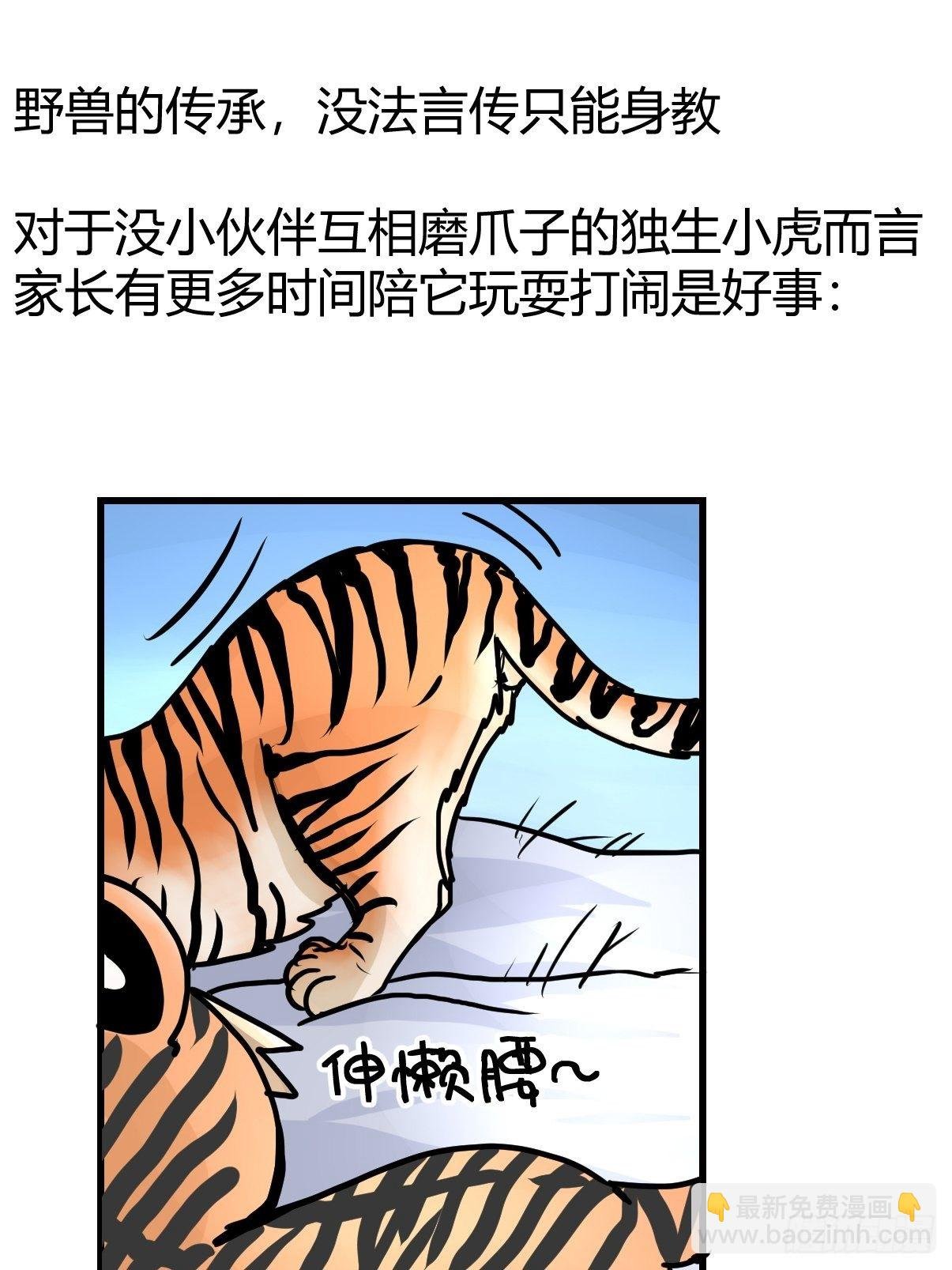 虎年特别篇：王者归来02