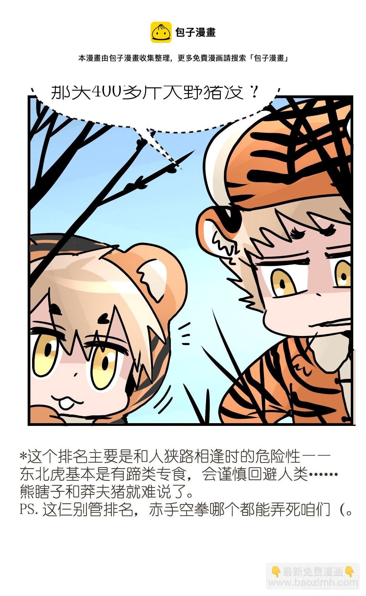 虎年特别篇：王者归来02