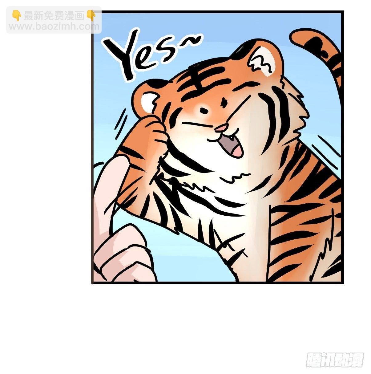 虎年特别篇：王者归来02