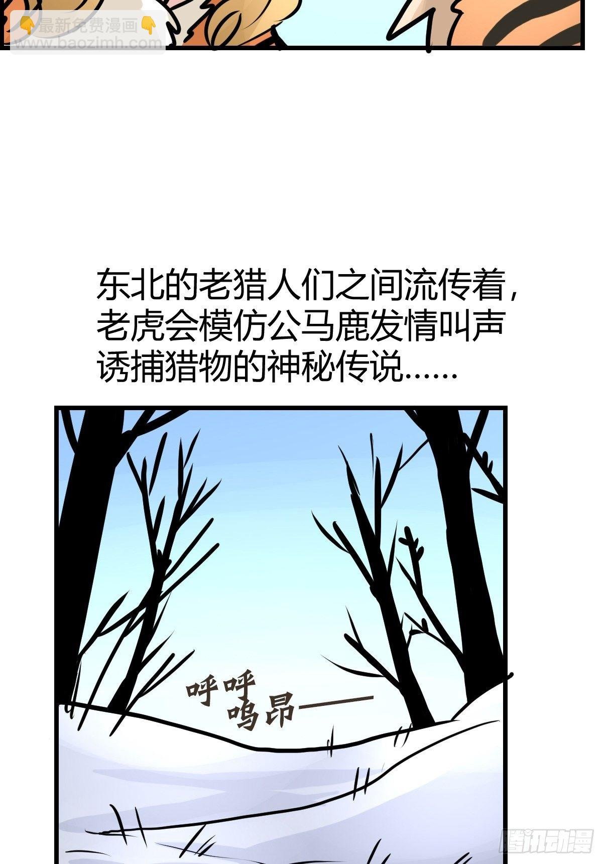 虎年特别篇：王者归来02