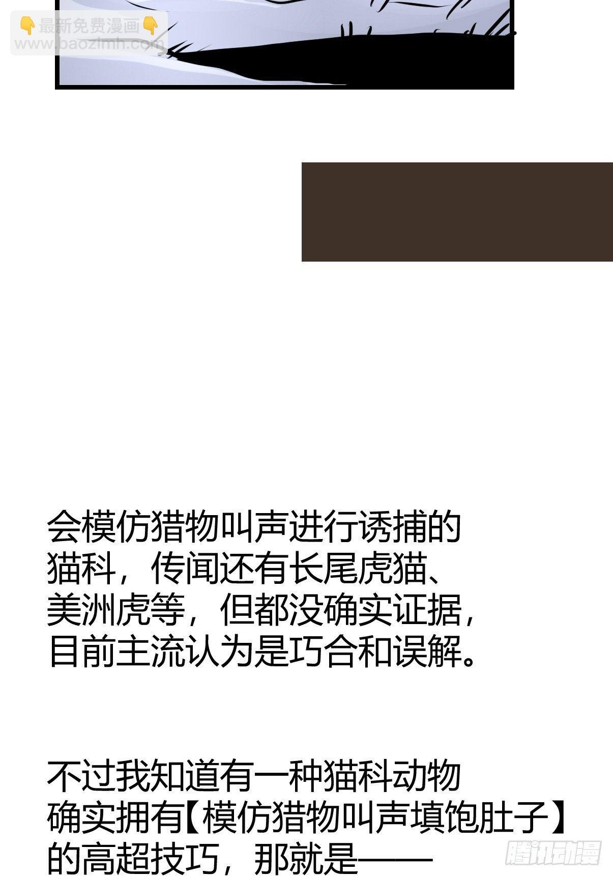虎年特别篇：王者归来02