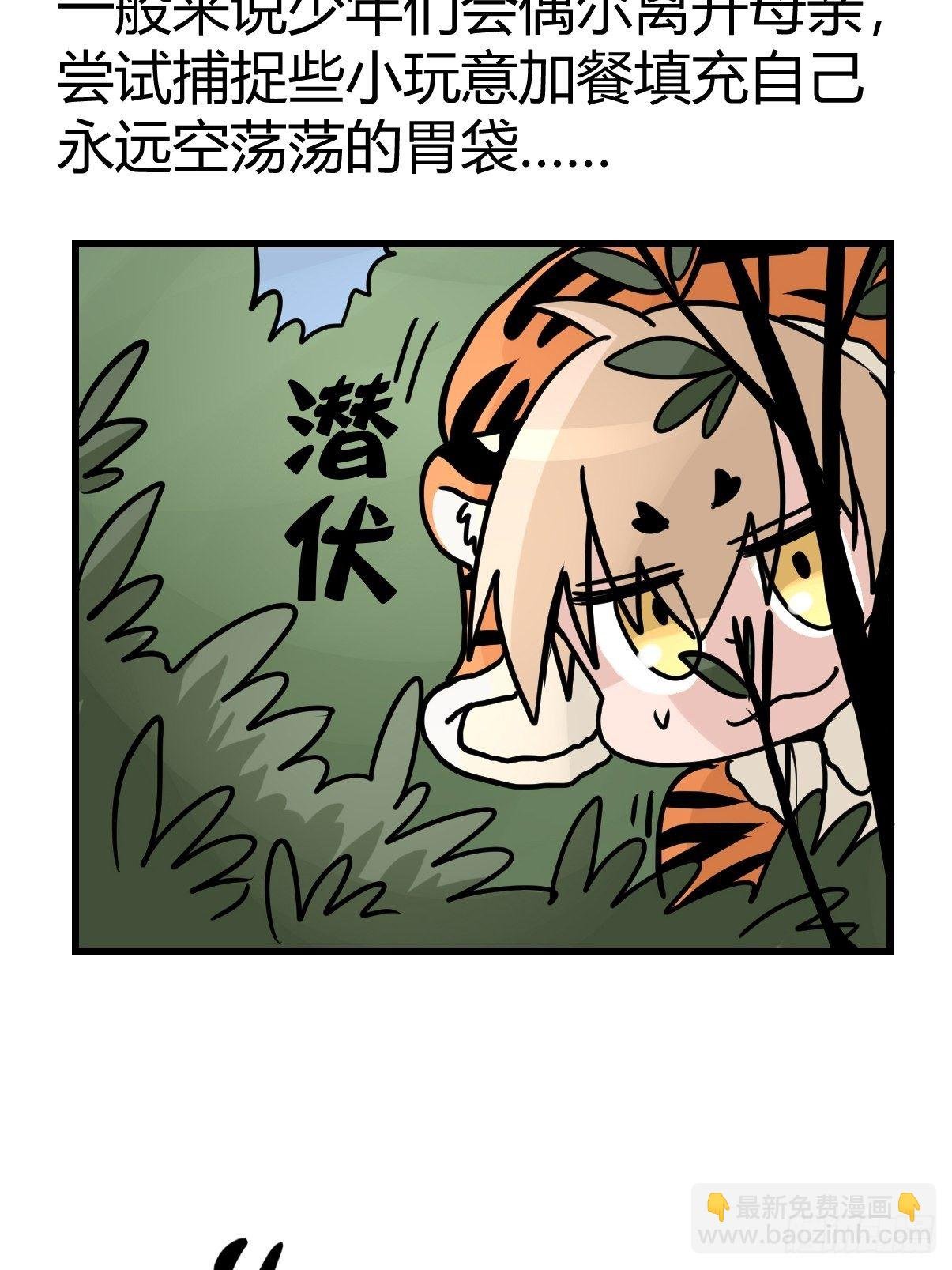 虎年特别篇：王者归来03
