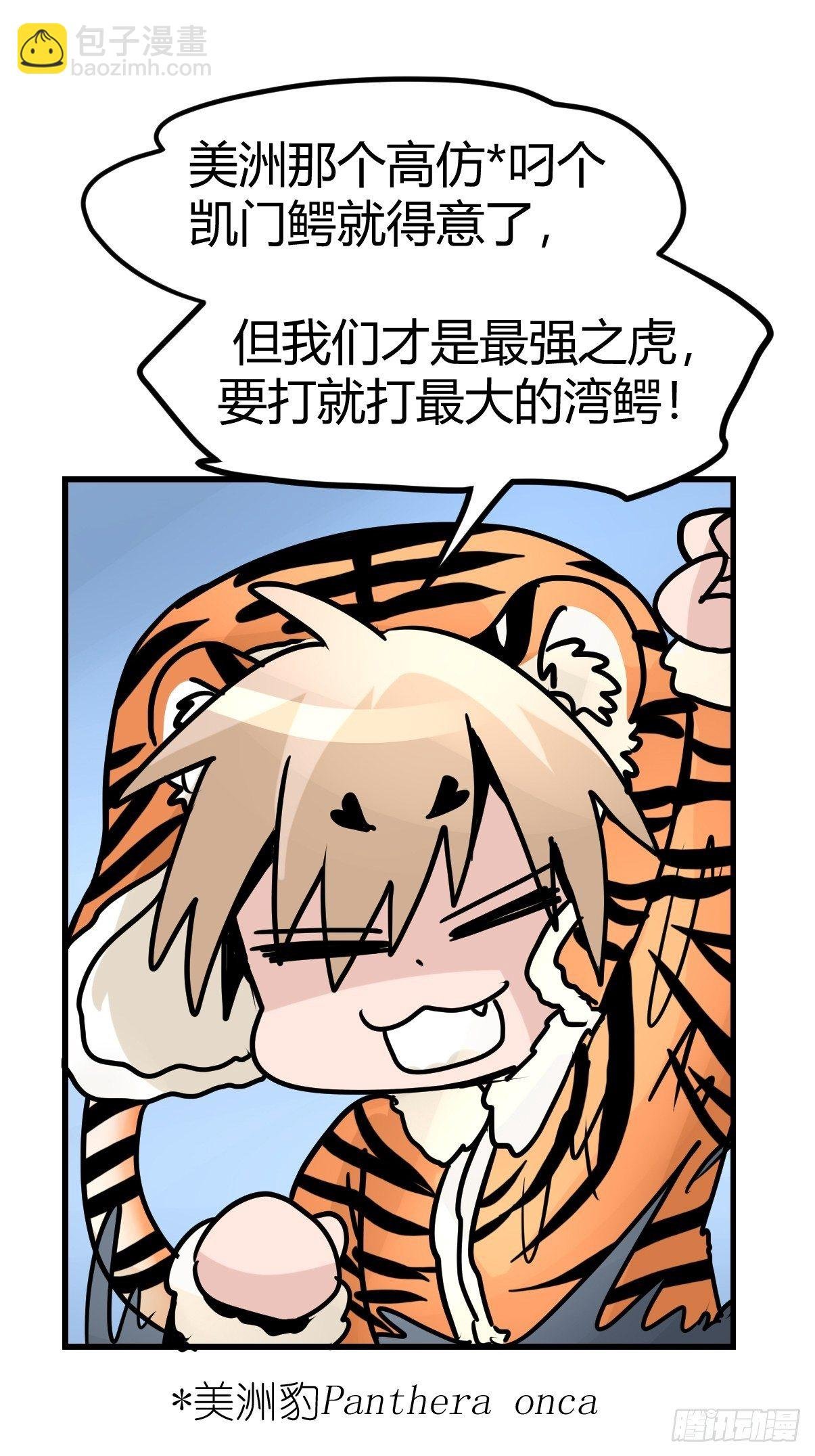 虎年特别篇：王者归来03
