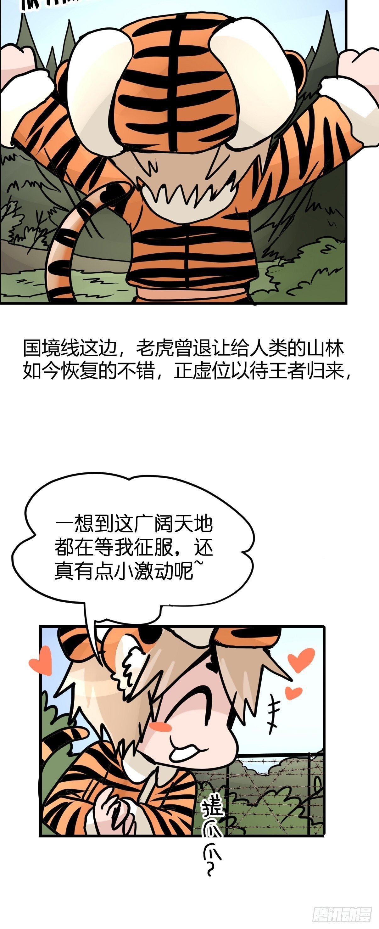 虎年特别篇：王者归来06