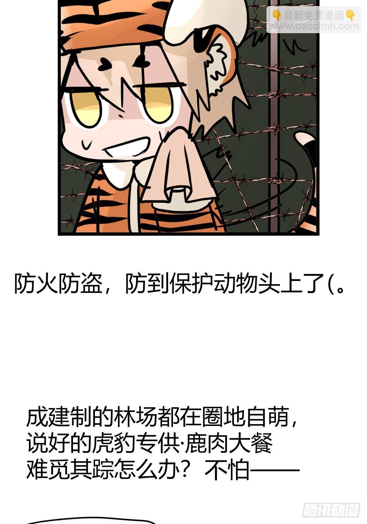 虎年特别篇：王者归来06