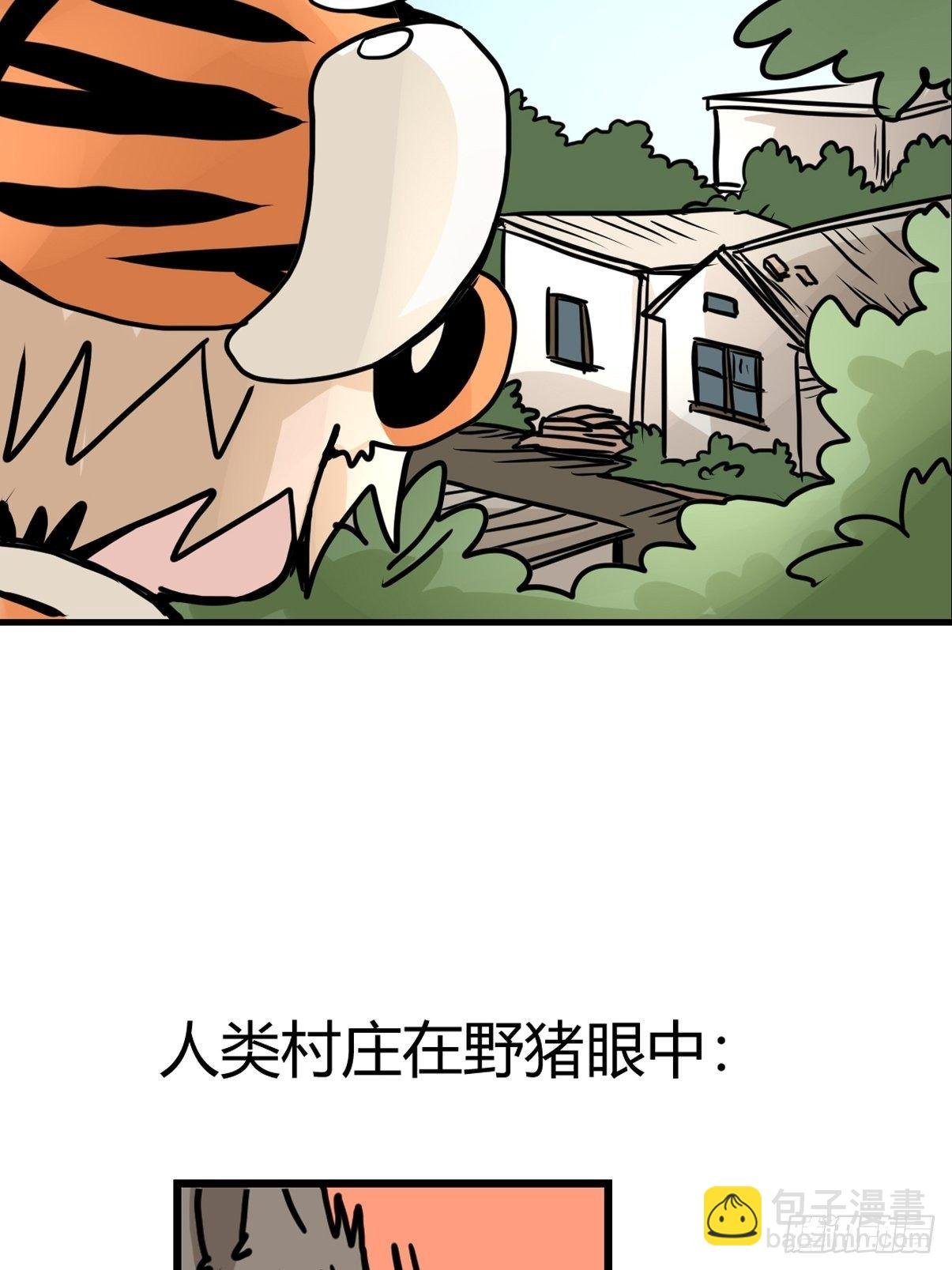 虎年特别篇：王者归来06