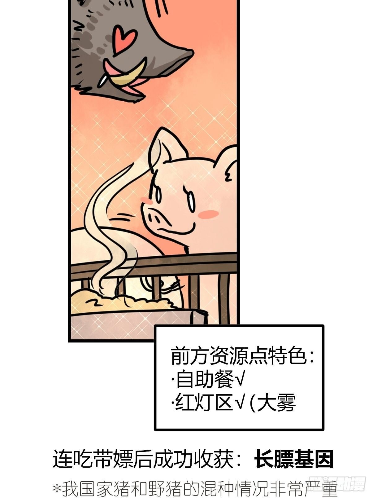 虎年特别篇：王者归来06