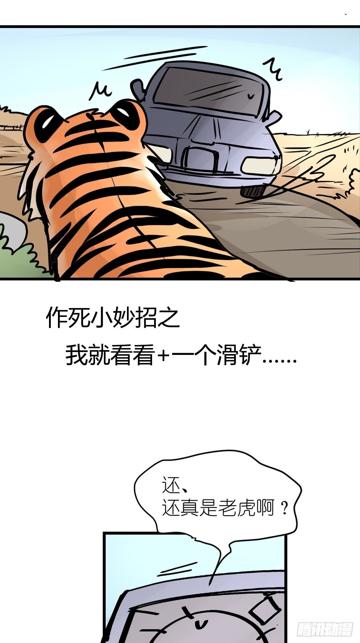 虎年特别篇：王者归来06