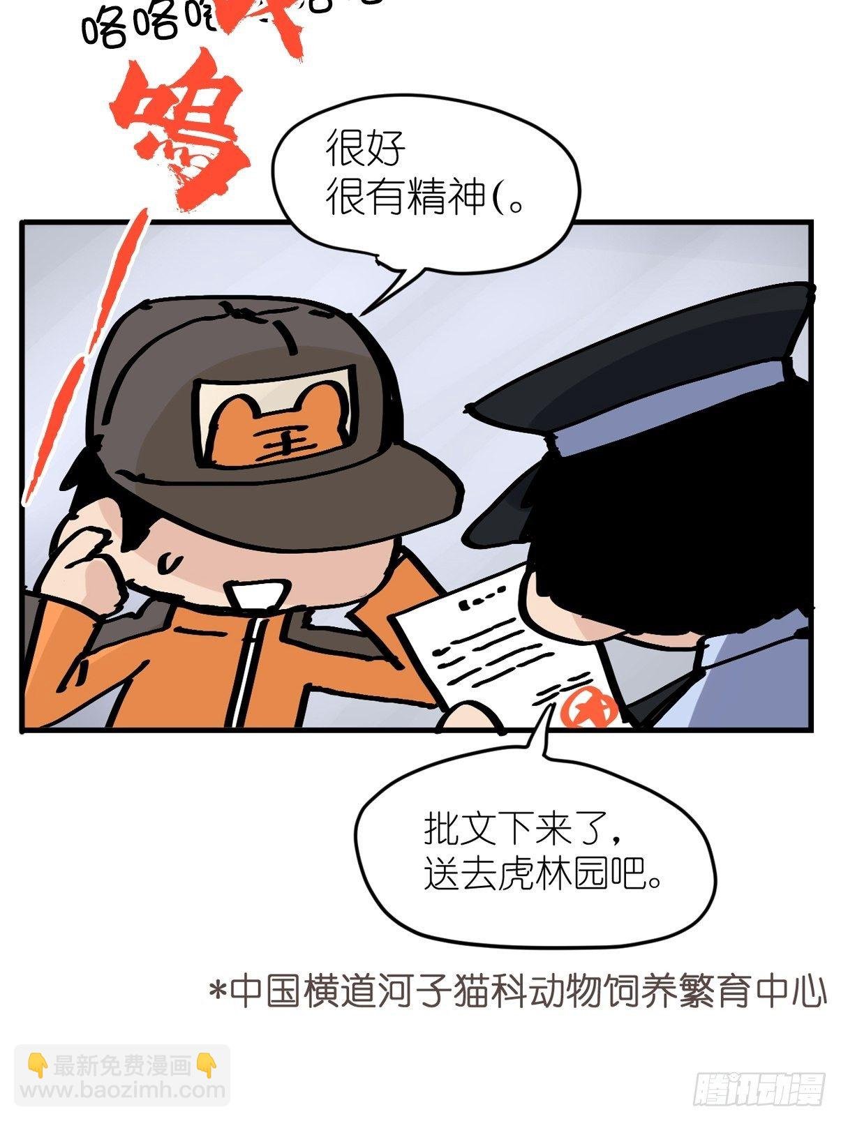 虎年特别篇：王者归来07