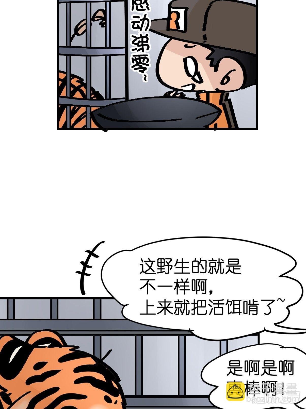 虎年特别篇：王者归来07