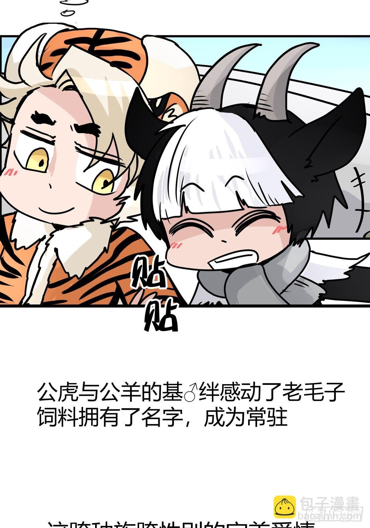 虎年特别篇：王者归来07