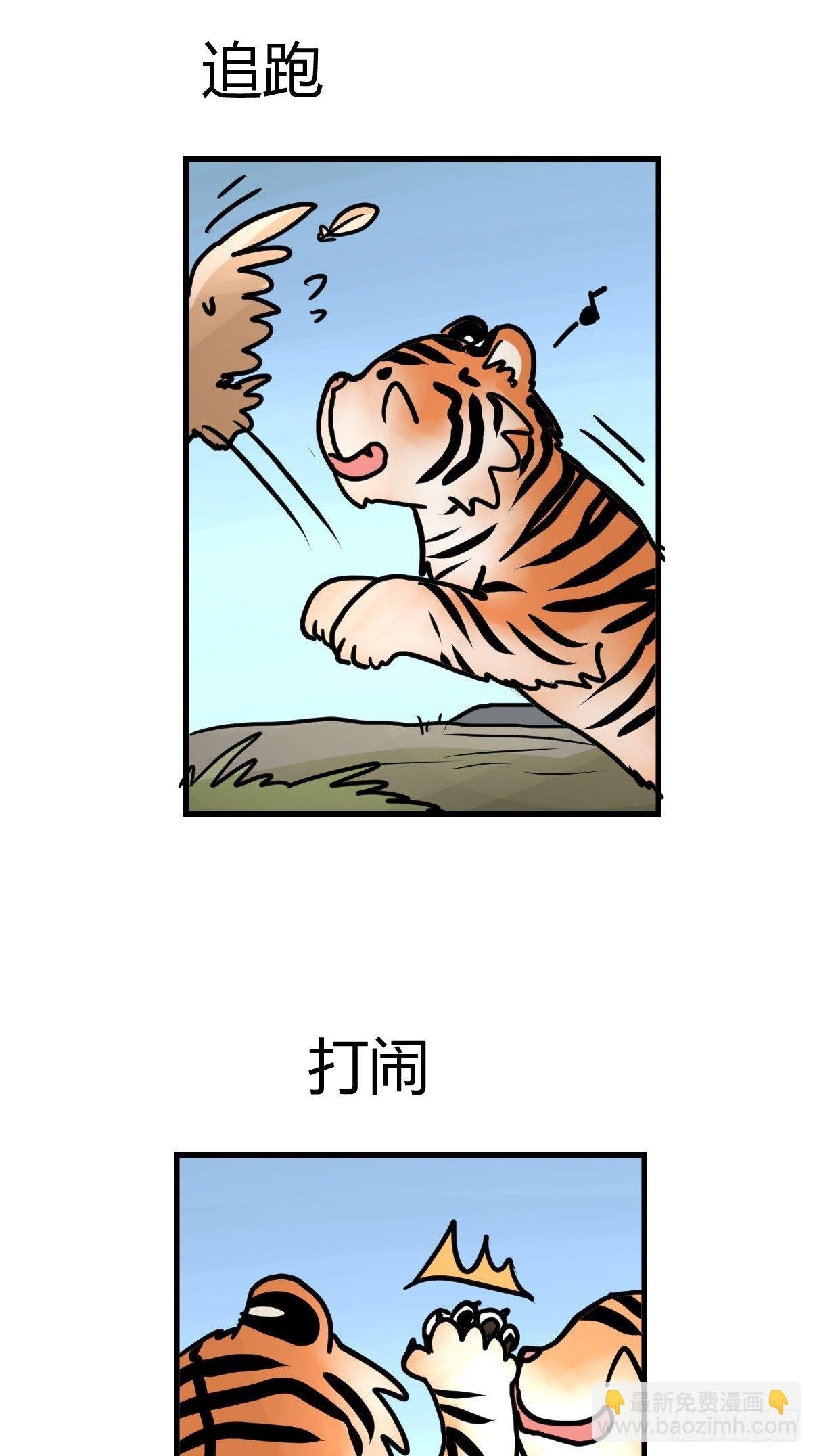 虎年特别篇：王者归来08