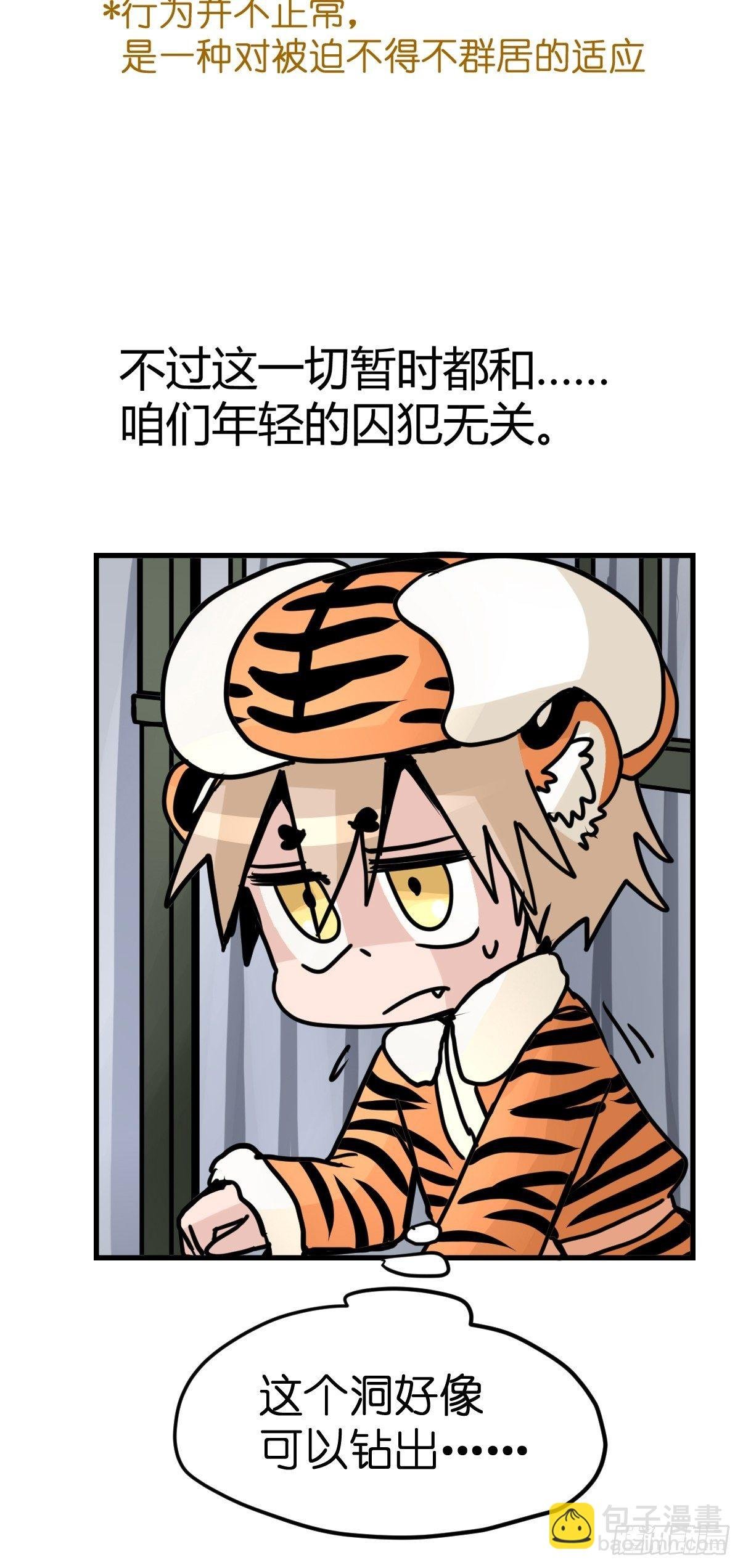 虎年特别篇：王者归来08