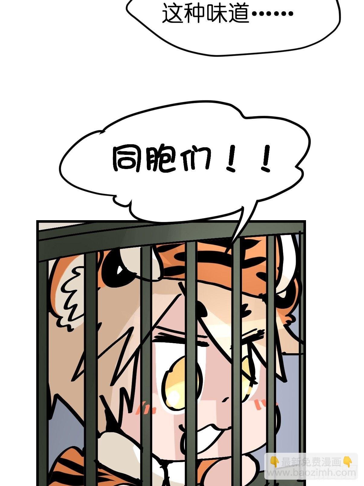 虎年特别篇：王者归来08