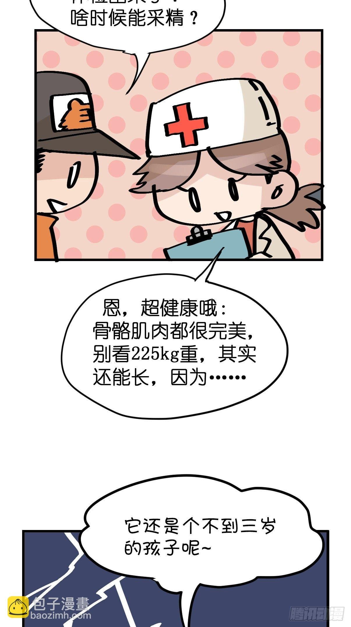 虎年特别篇：王者归来08