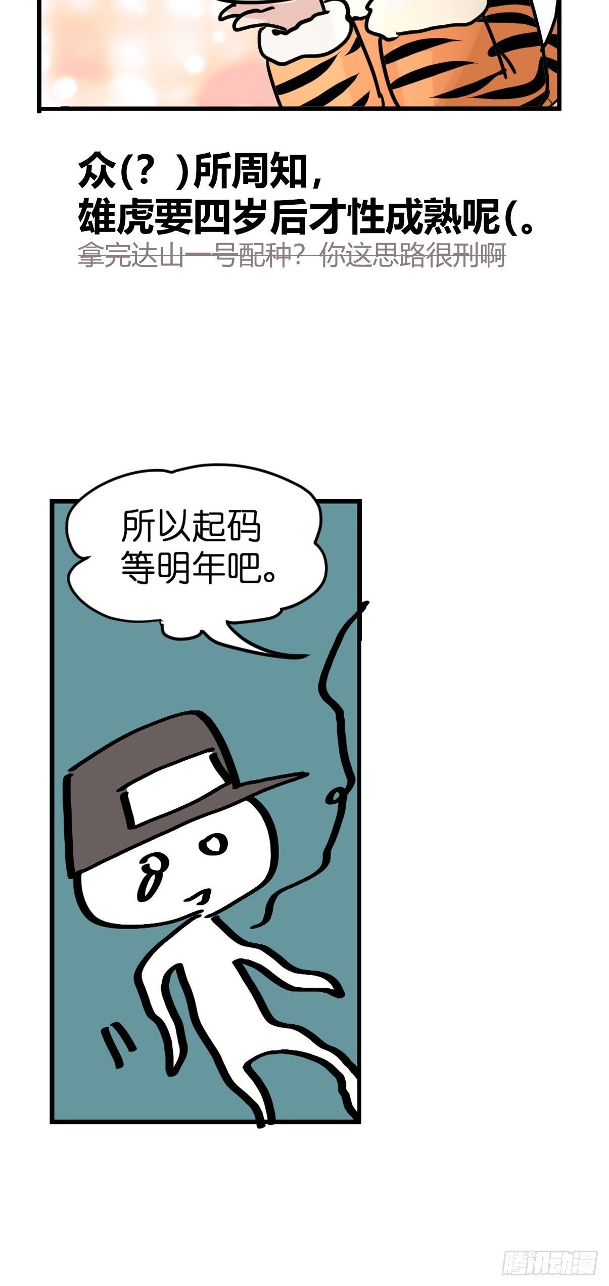 虎年特别篇：王者归来08