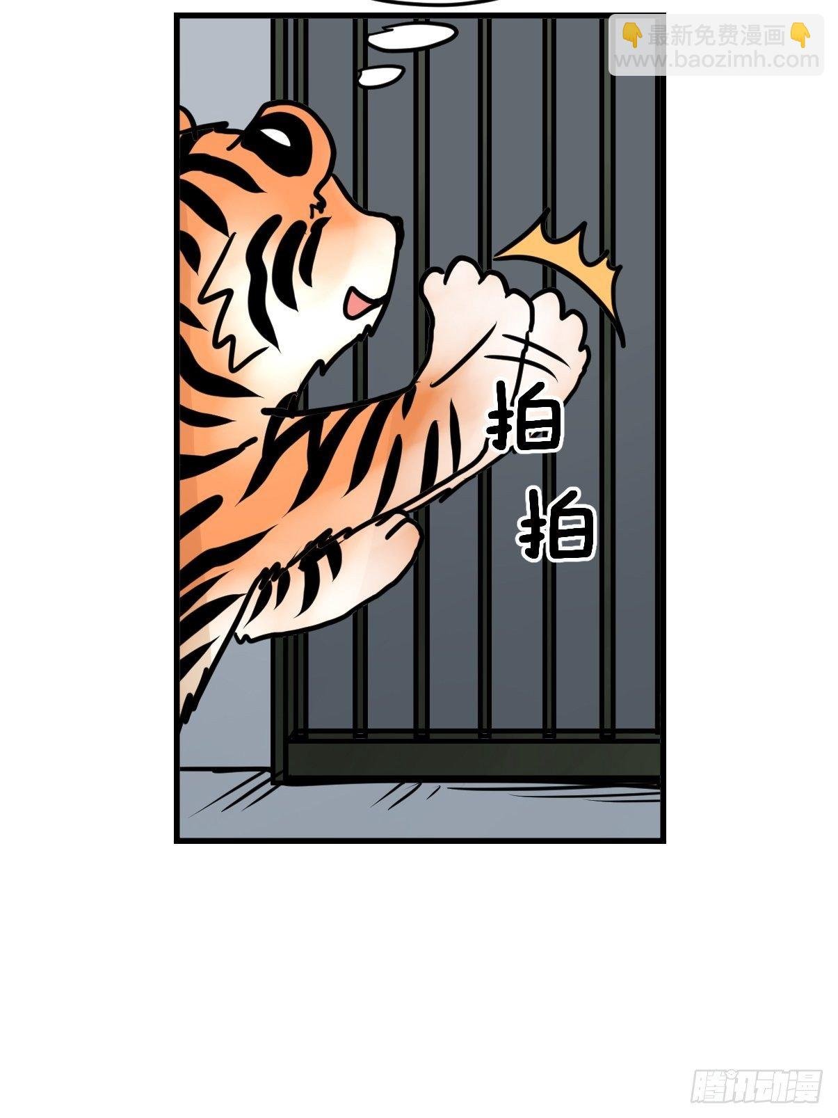 虎年特别篇：王者归来08