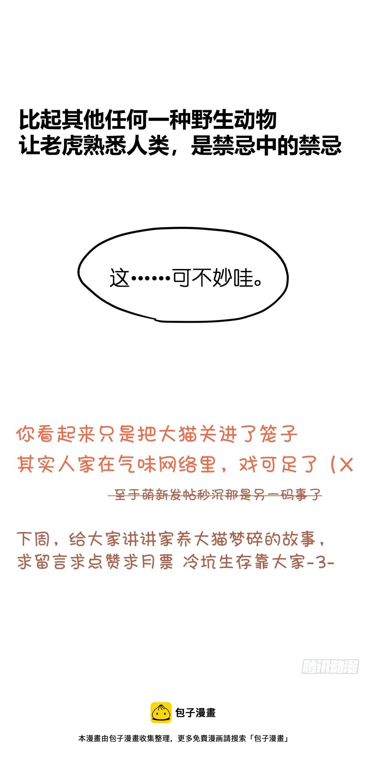 虎年特别篇：王者归来08