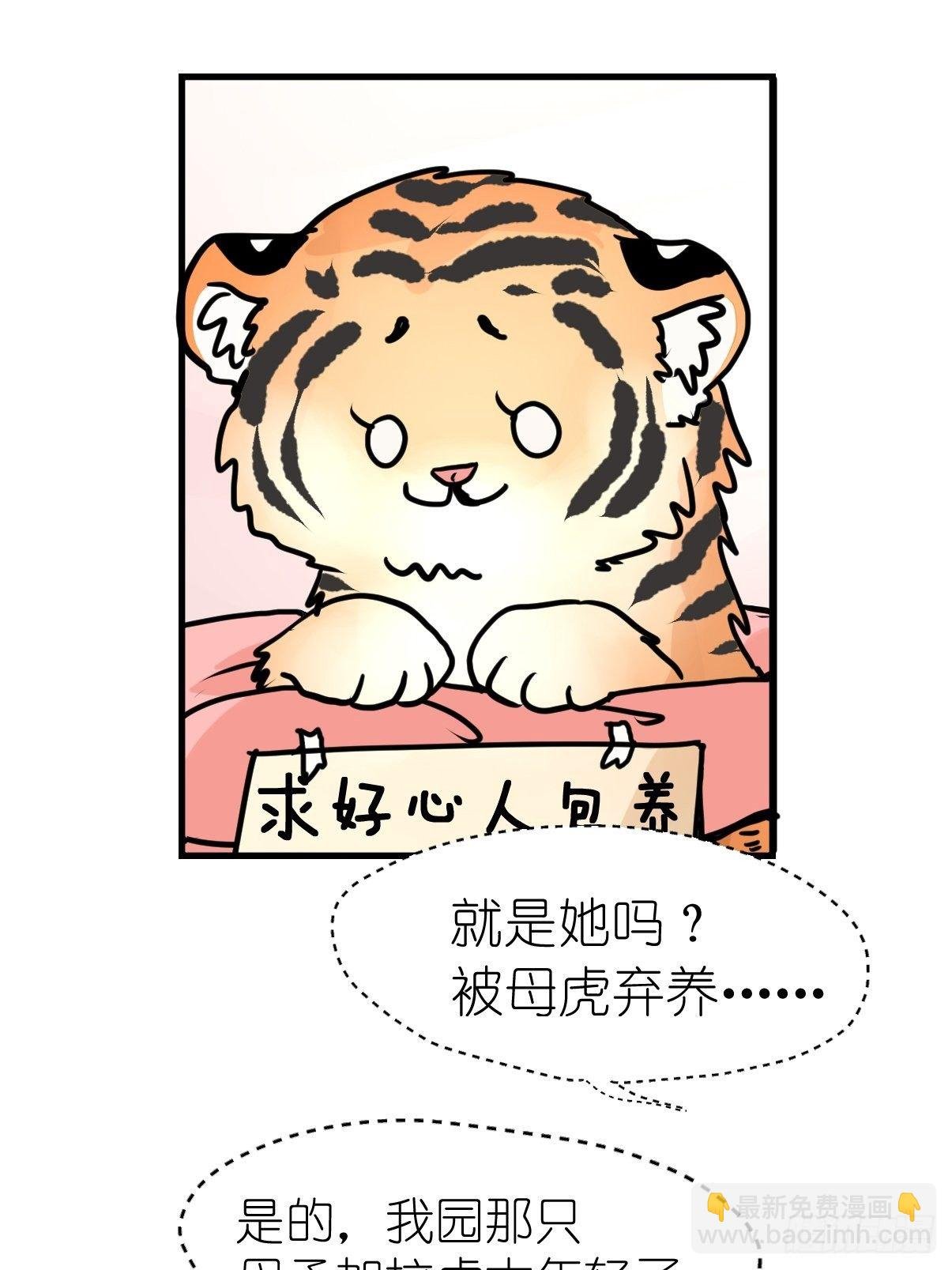 虎年特别篇：王者归来09