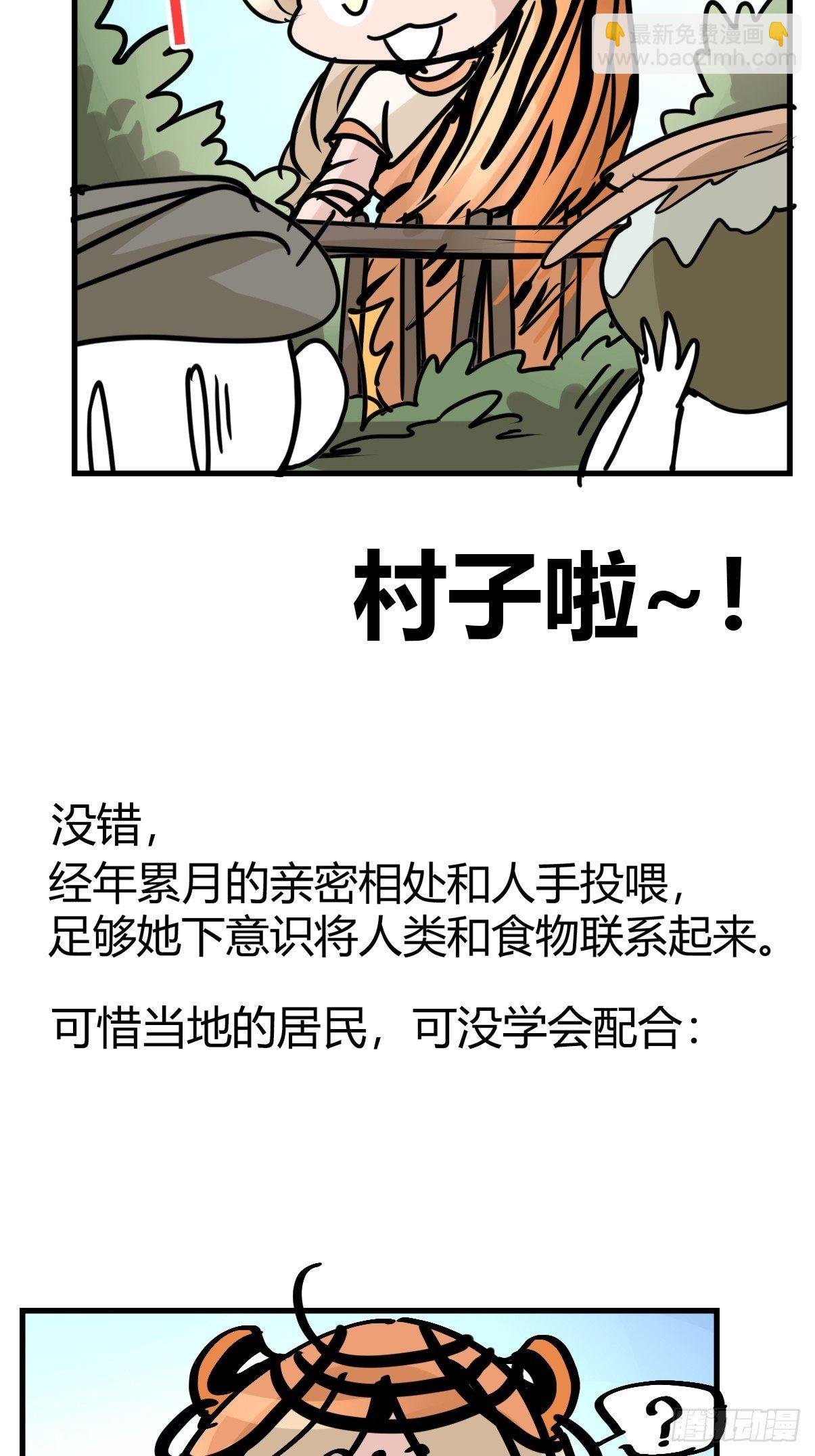 虎年特别篇：王者归来09