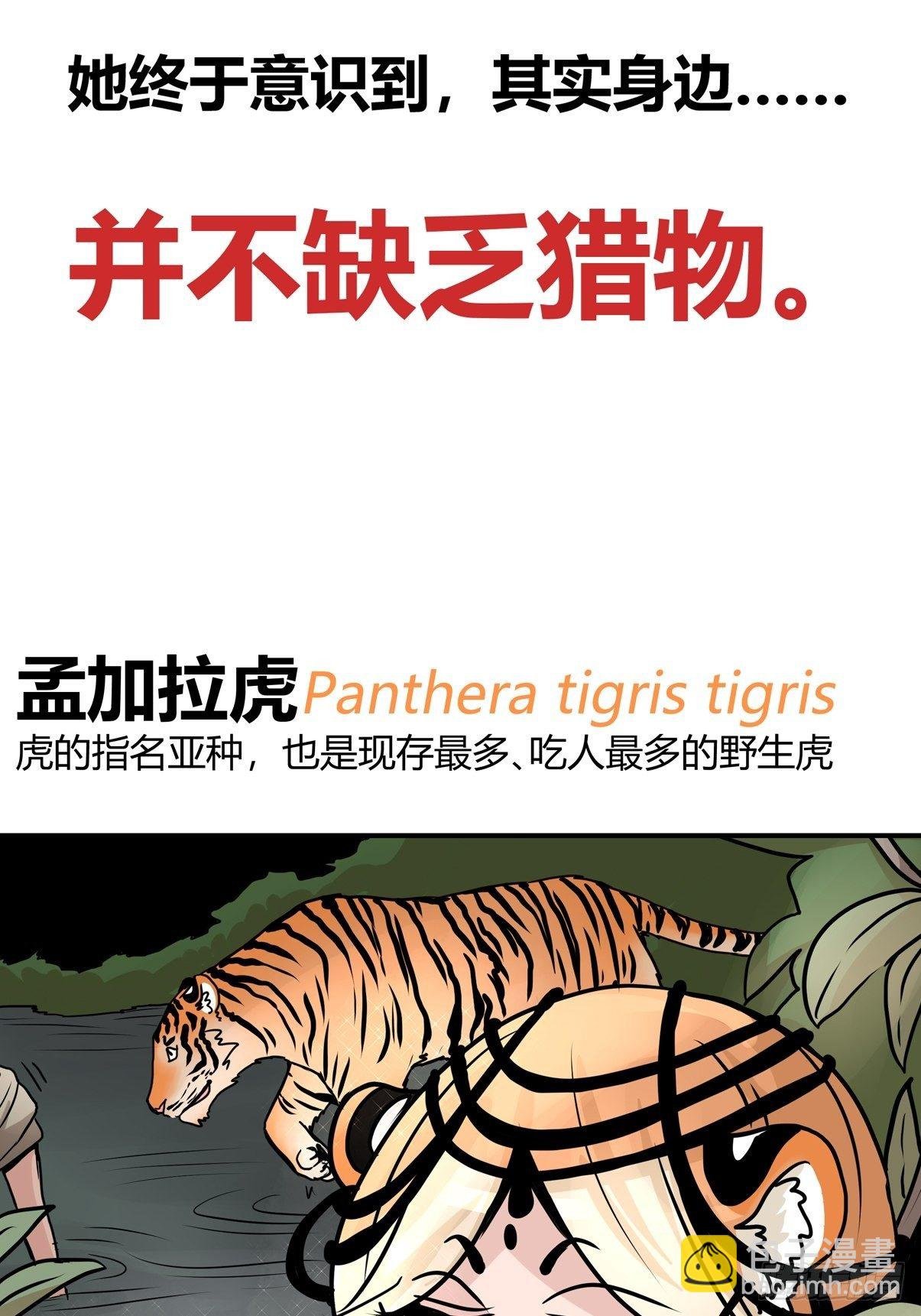 虎年特别篇：王者归来09