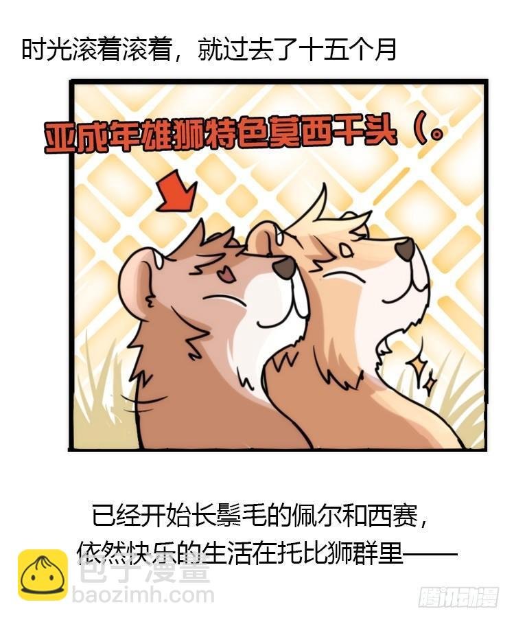 是这样的狮JI王？！-02