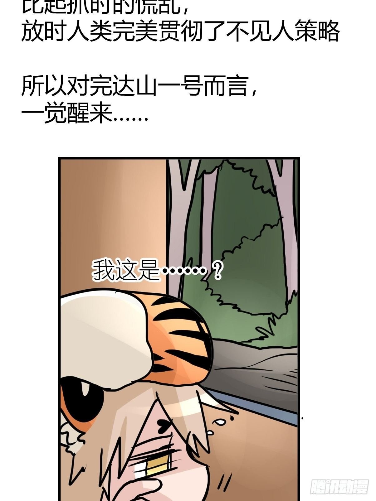 四海篇29：远虎治不了近鼠？