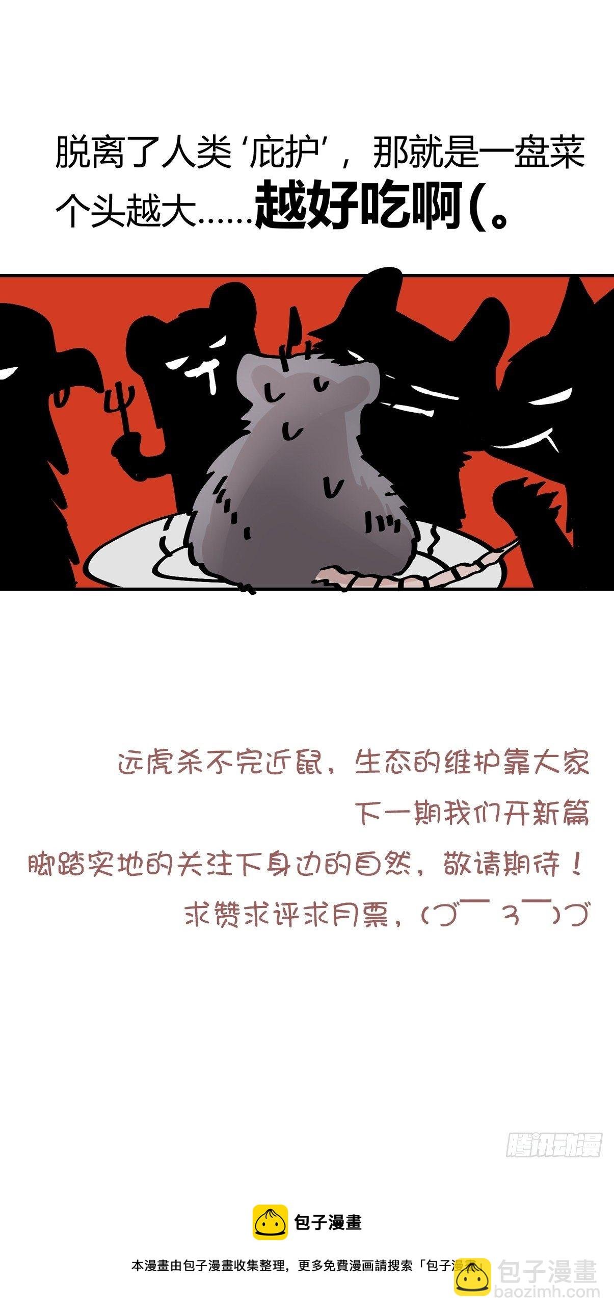 四海篇29：远虎治不了近鼠？