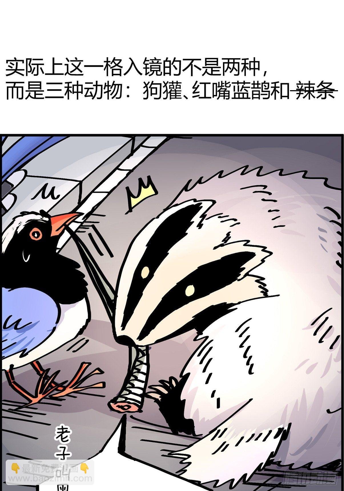 救助站篇02：死亡公路
