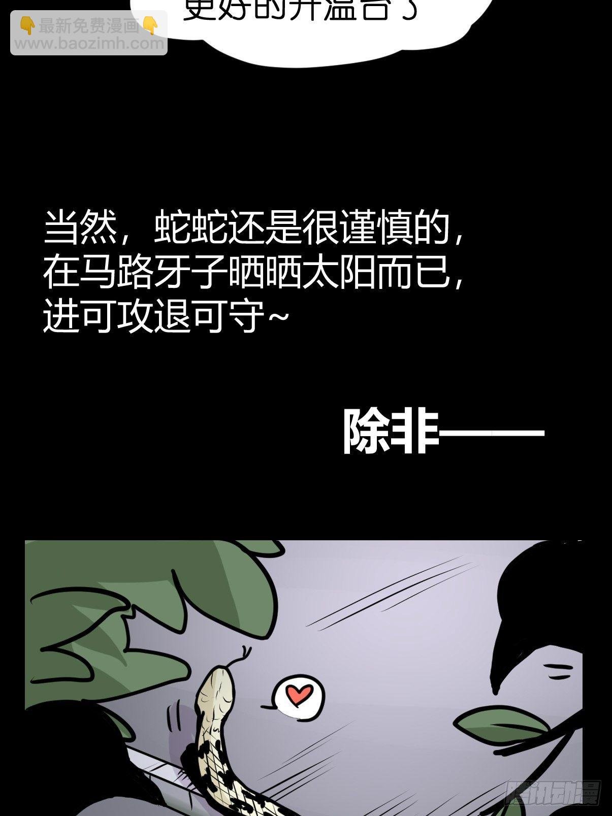 救助站篇02：死亡公路