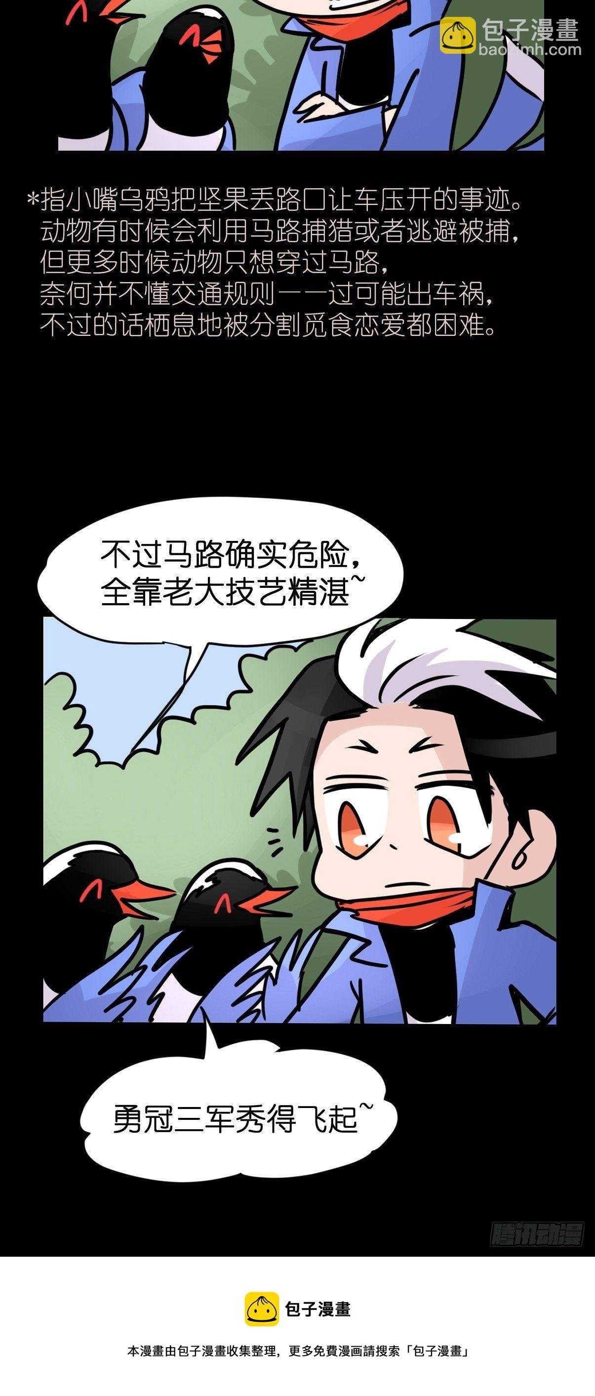 救助站篇02：死亡公路