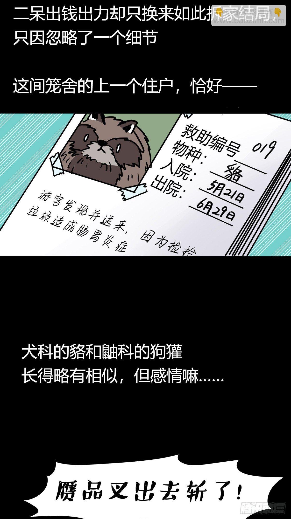 救助站篇03：人不如猹
