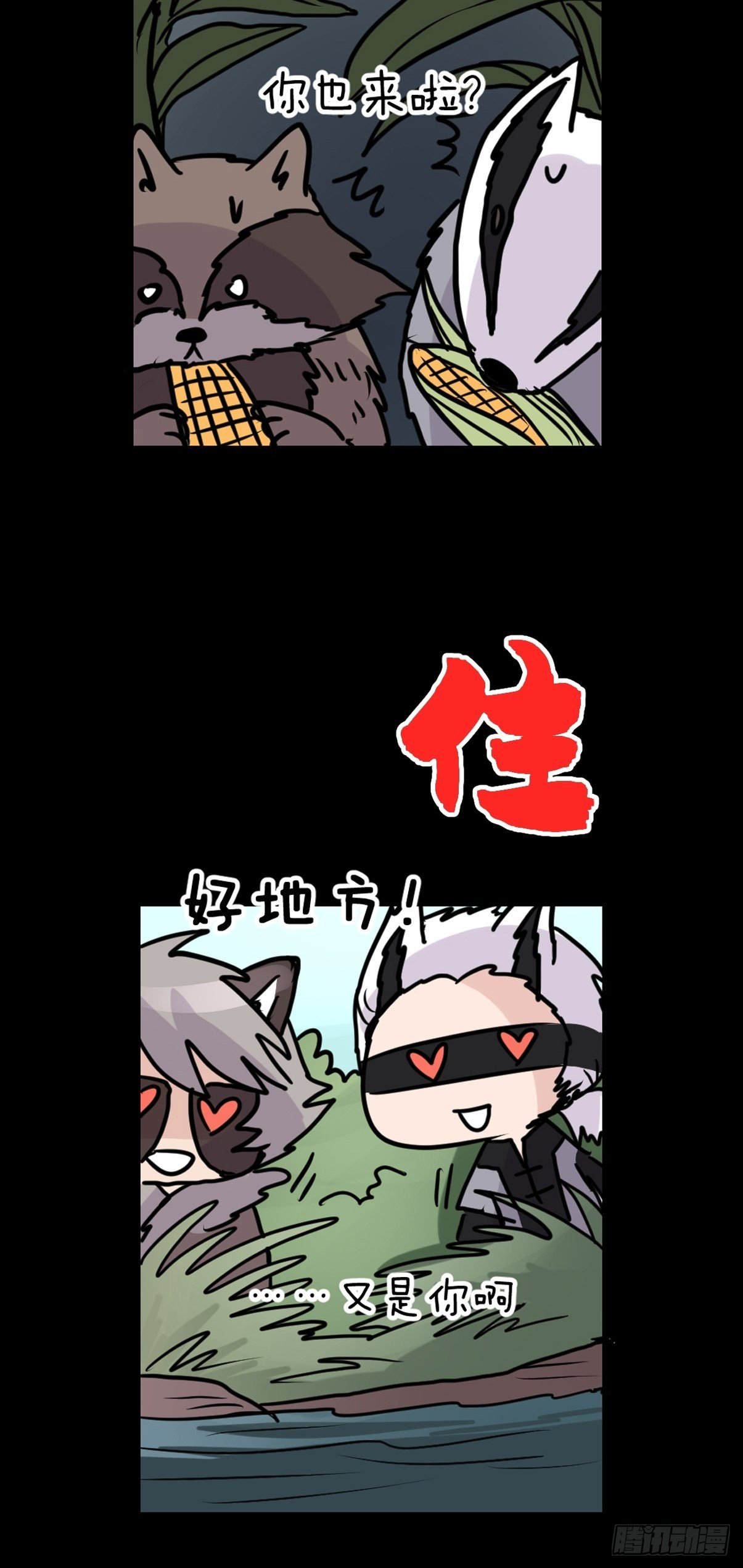 救助站篇03：人不如猹