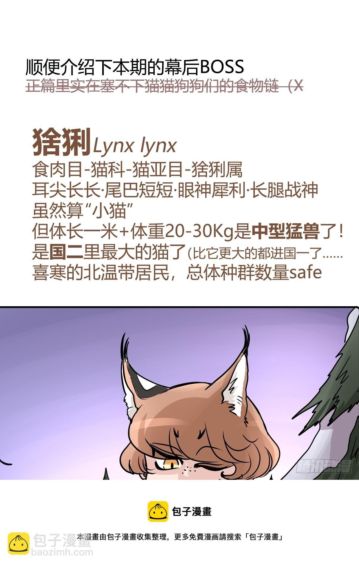救助站篇04：河东河西