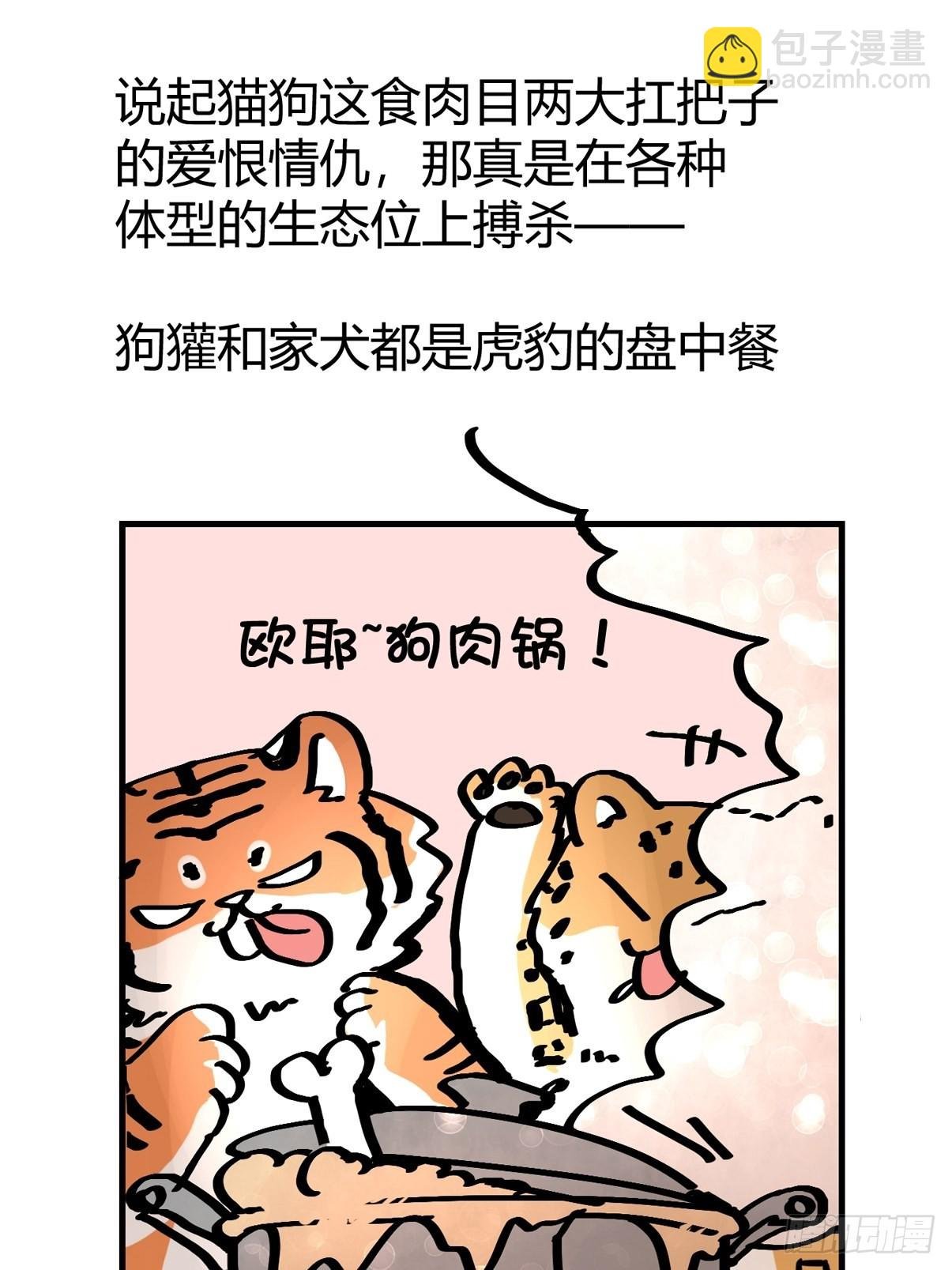 救助站篇04：河东河西