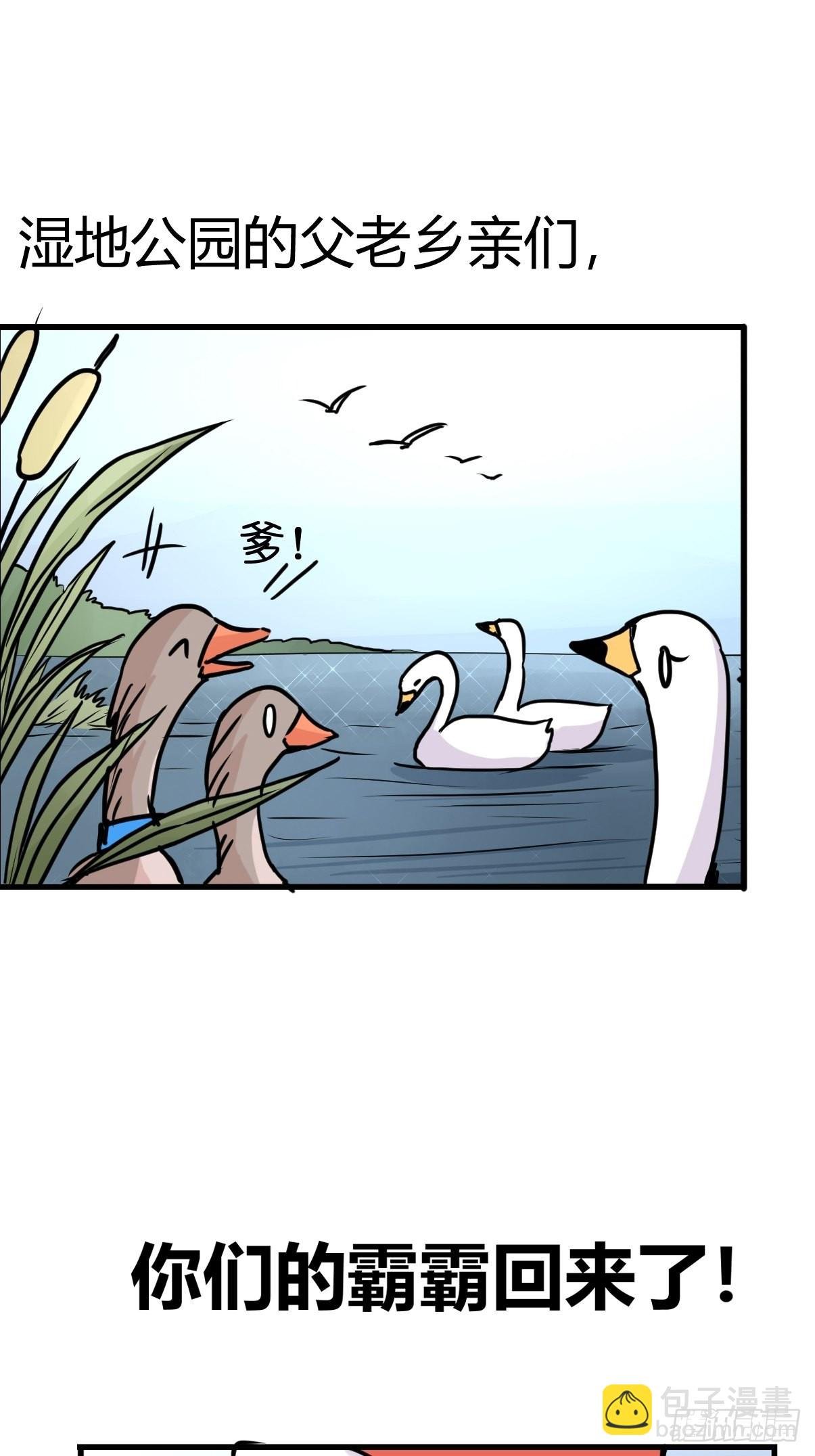 救助站08：各自的战场