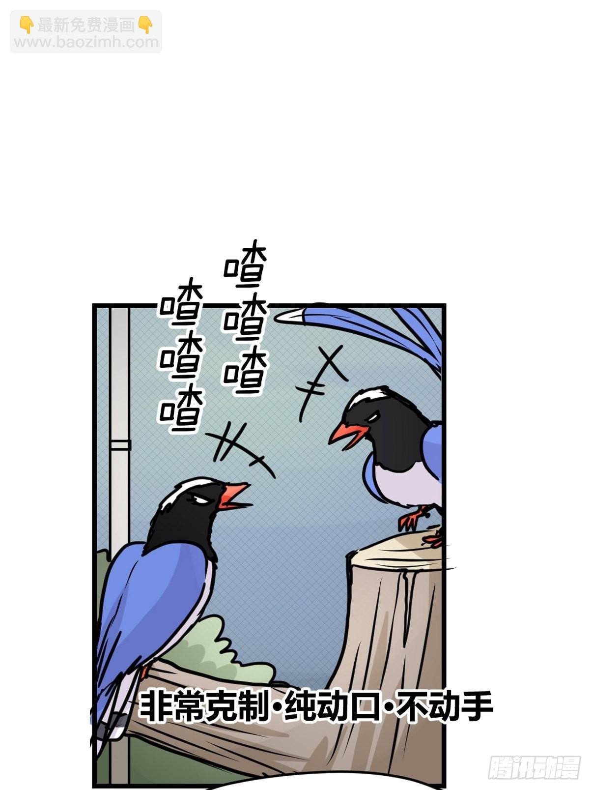 救助站13：鹊生如戏