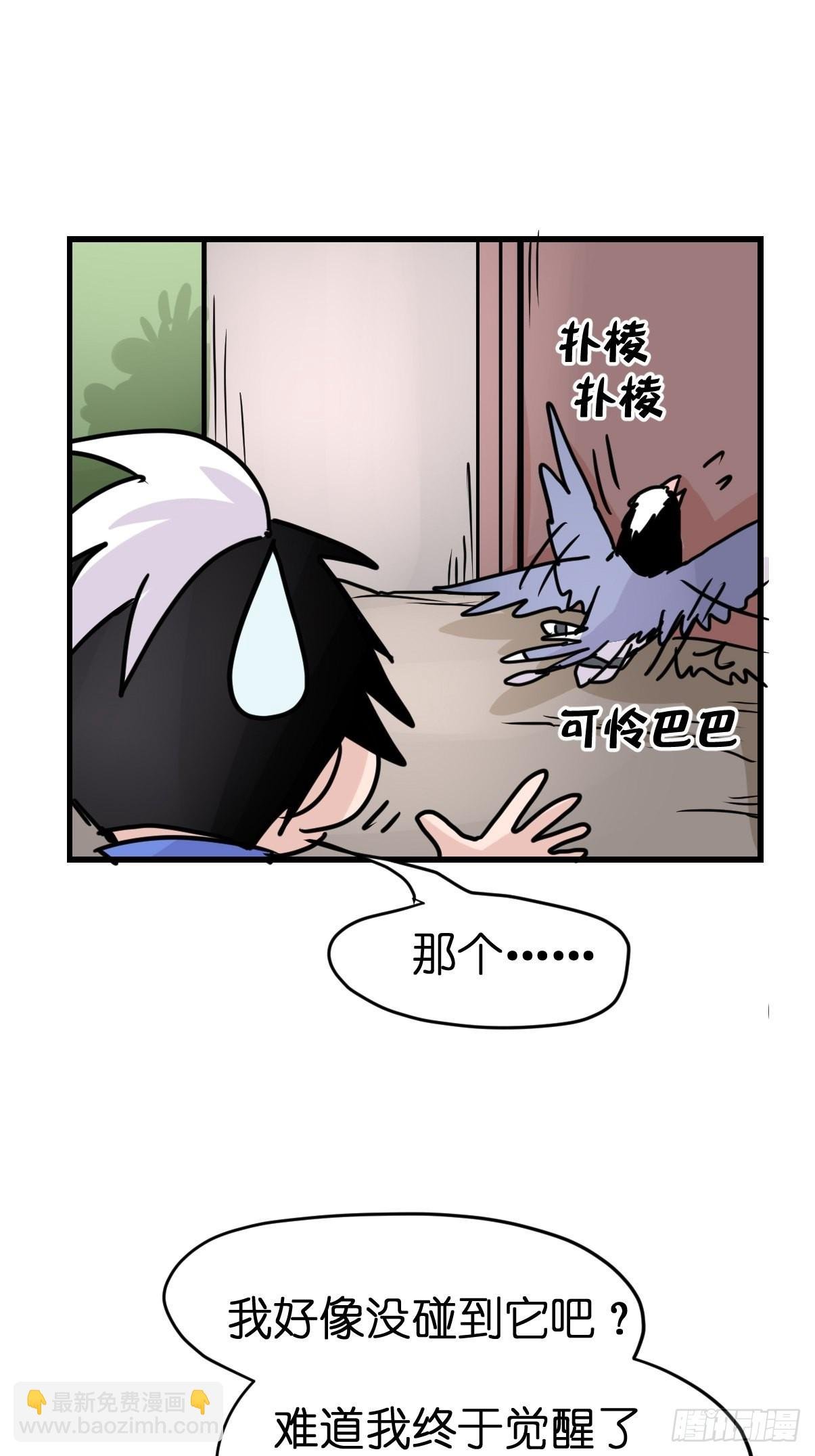 救助站13：鹊生如戏