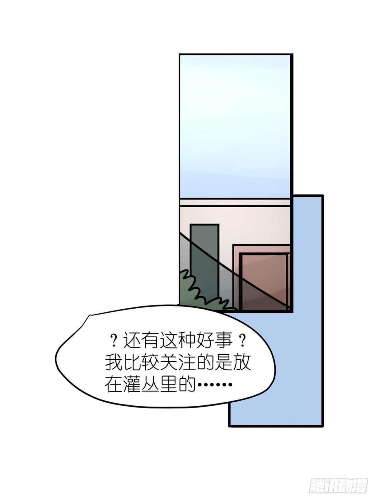 救助站13：鹊生如戏