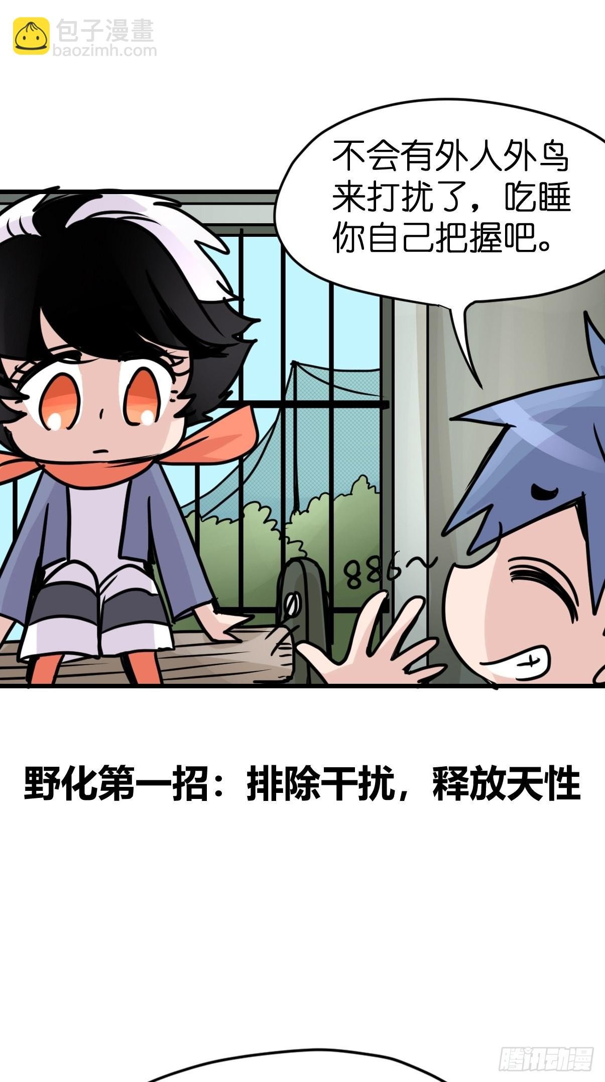 救助站15：作精的自我奋斗