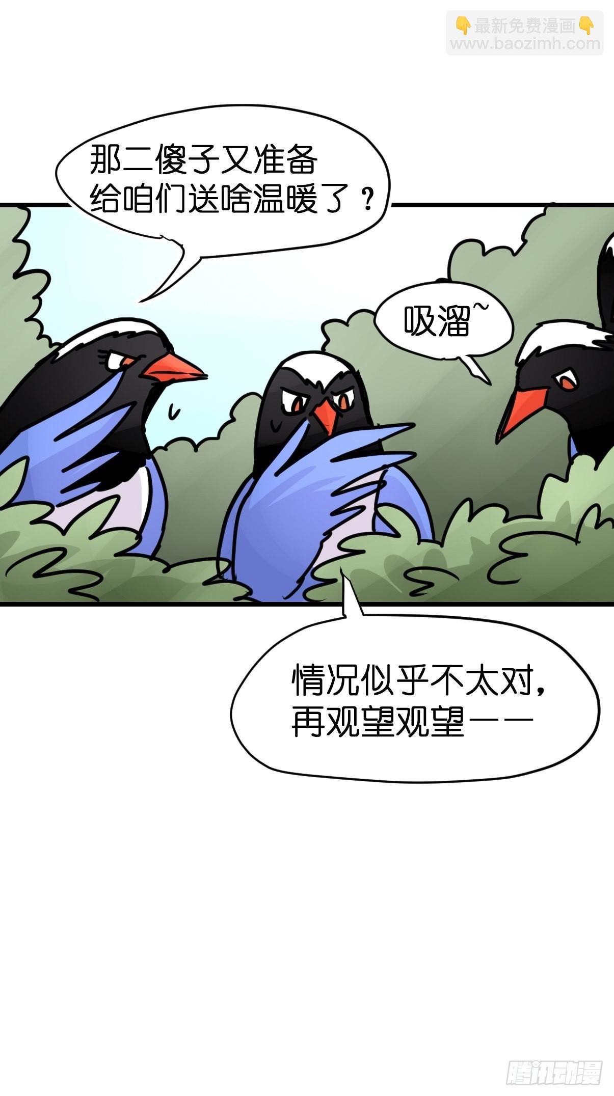 救助站15：作精的自我奋斗