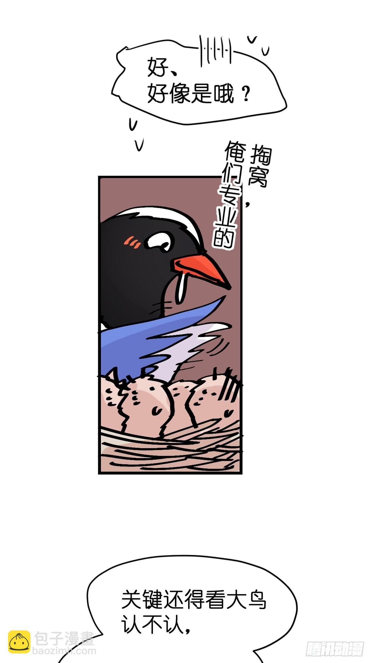 救助站16：作精的绝地反击