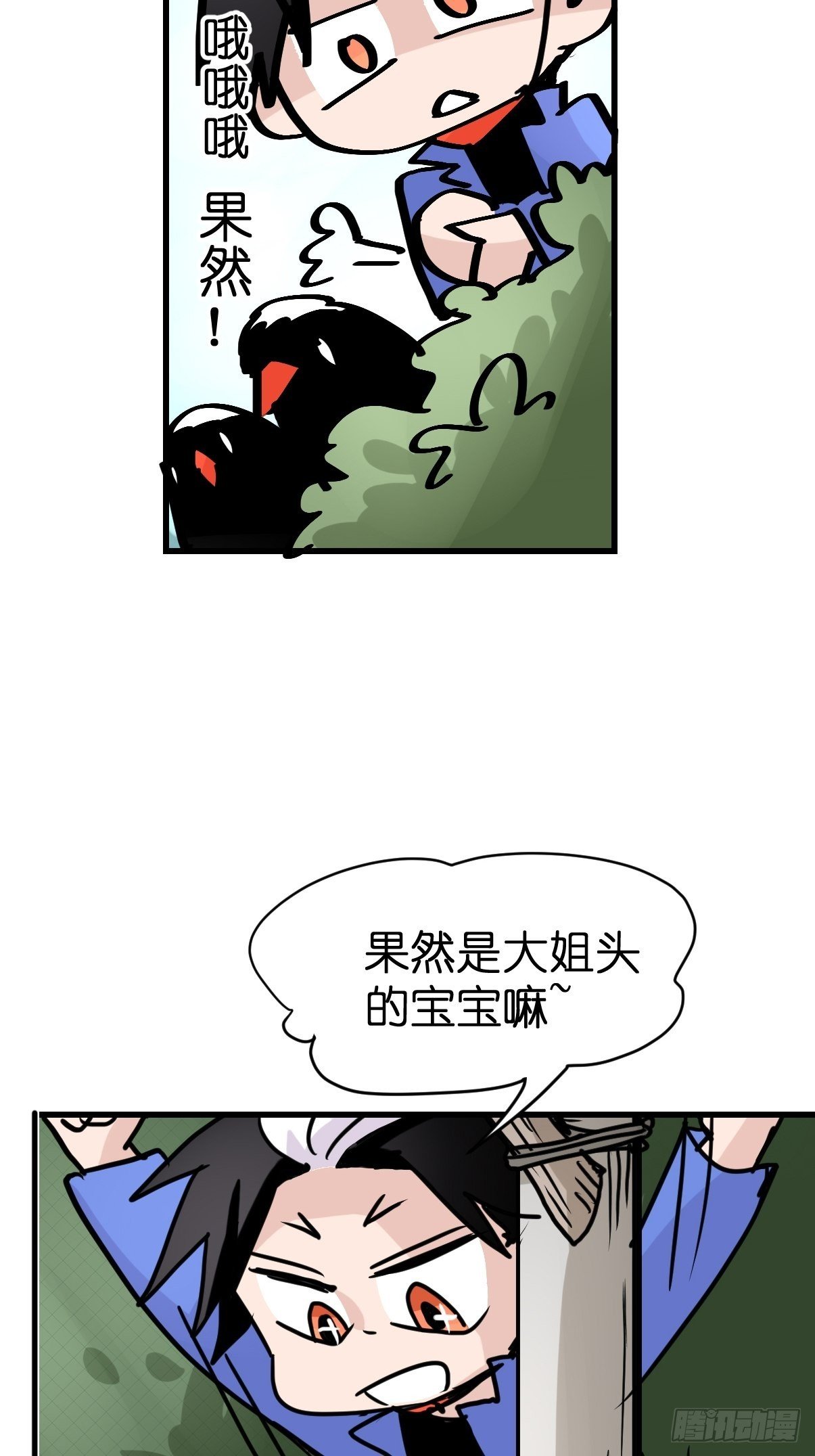 救助站17：全员大聪明