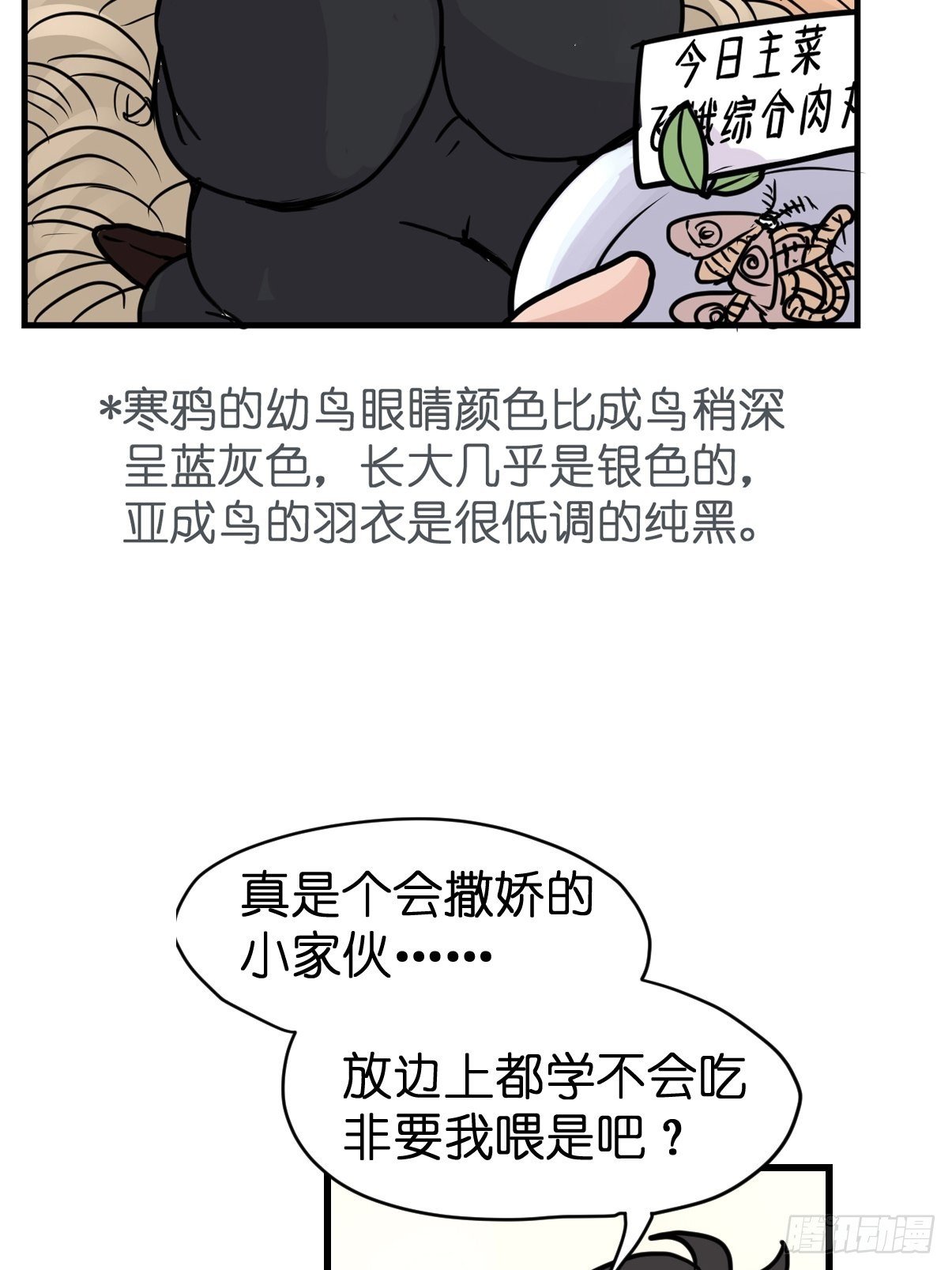 进基十日谈01：JOCK-上