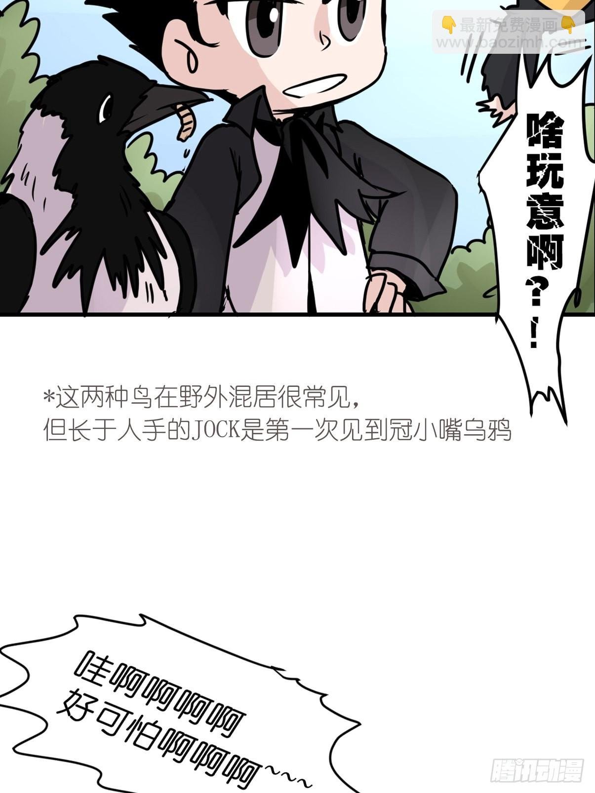 进基十日谈01：JOCK-上