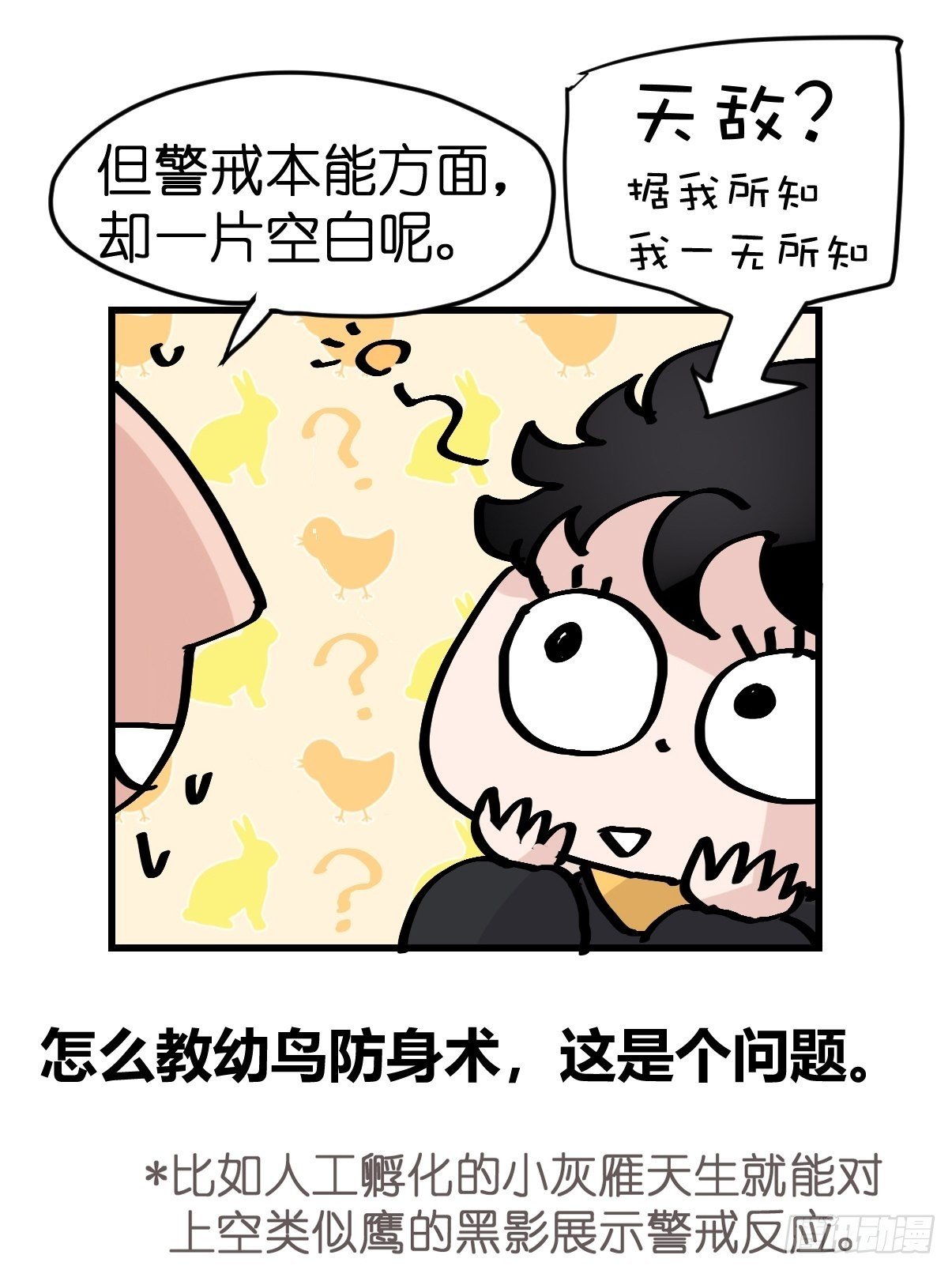 进基十日谈01：JOCK-上