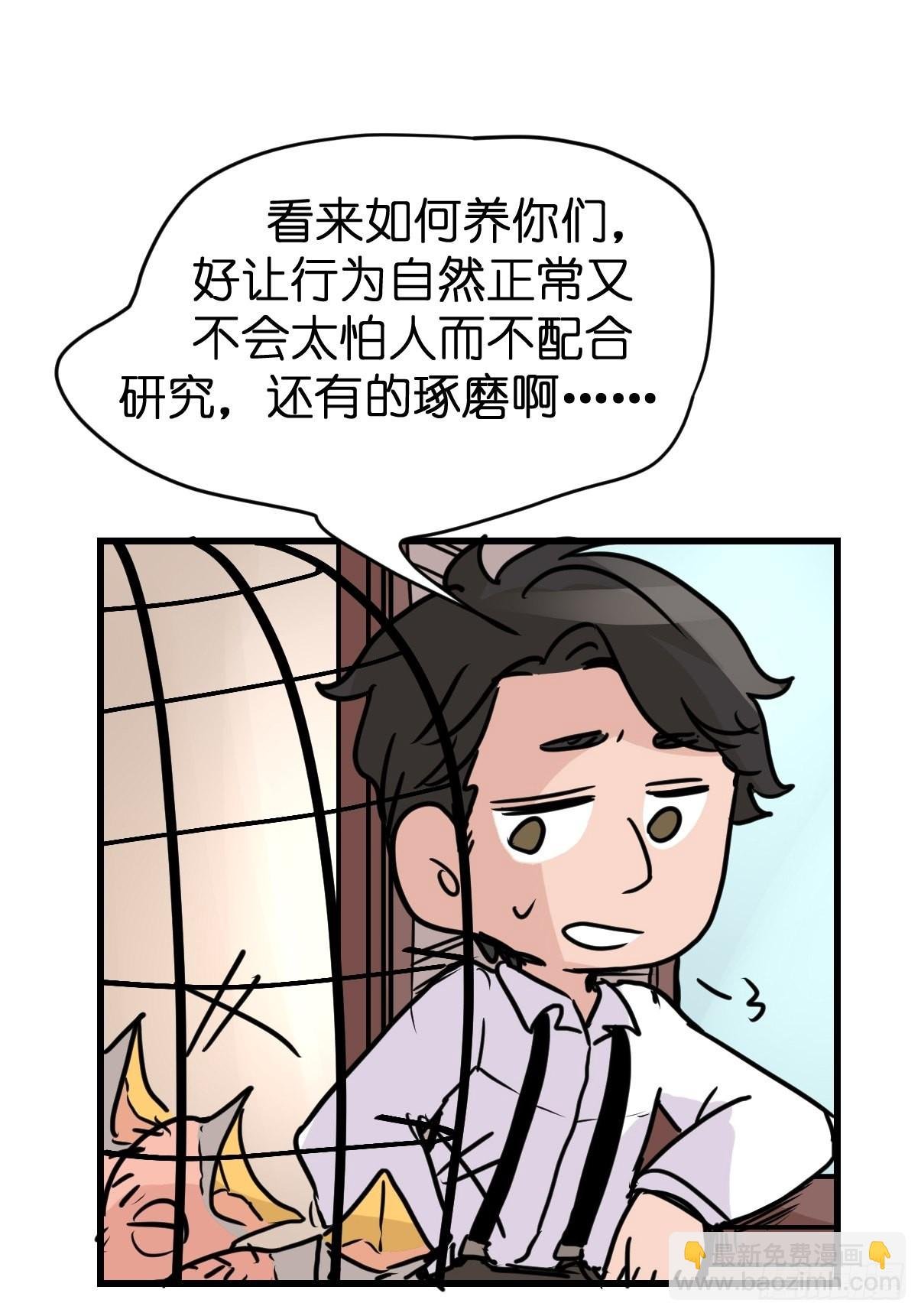 进基十日谈03：JOCK·下