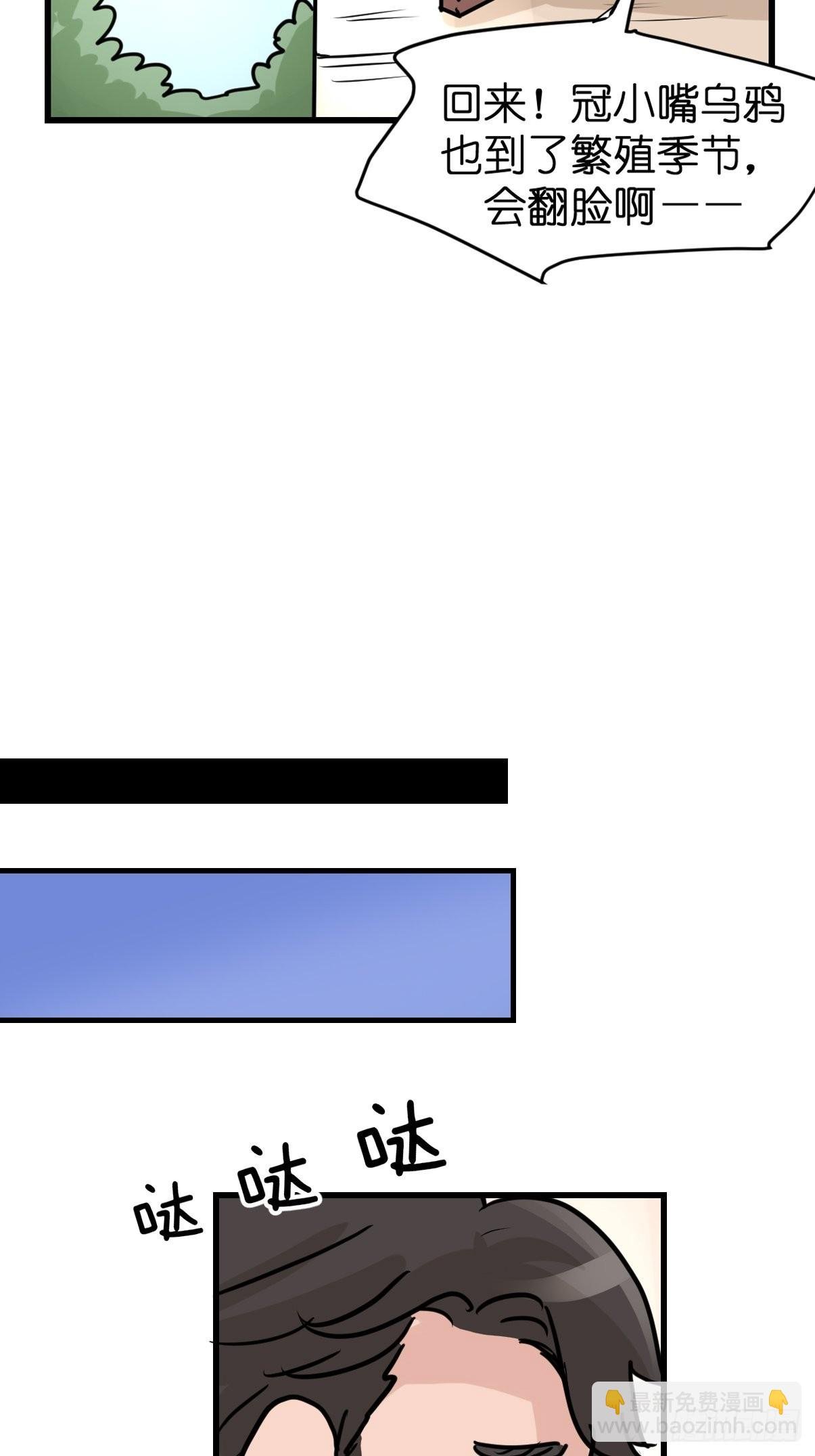 进基十日谈03：JOCK·下