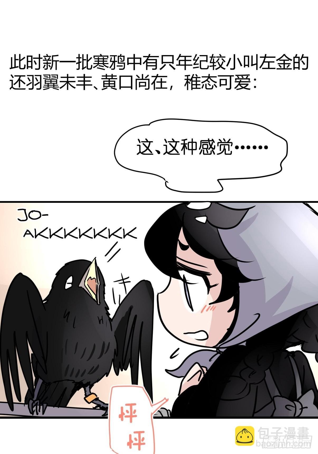 进基十日谈03：JOCK·下
