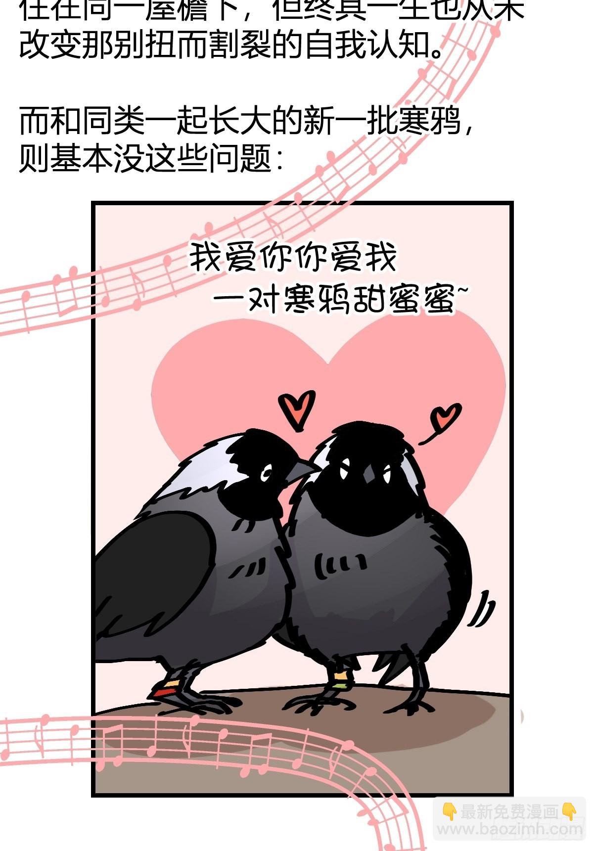 进基十日谈03：JOCK·下